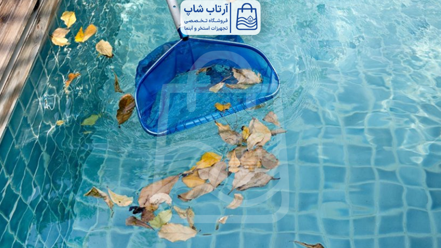 برگ گیر استخر